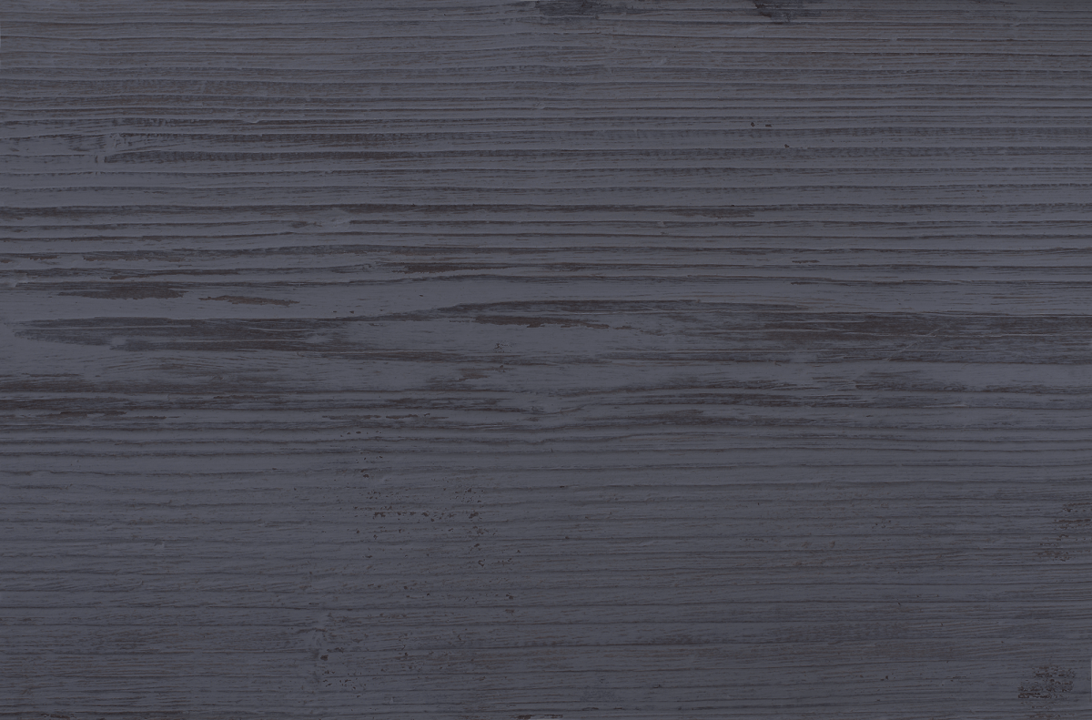 Gallery Texas Legend Homes